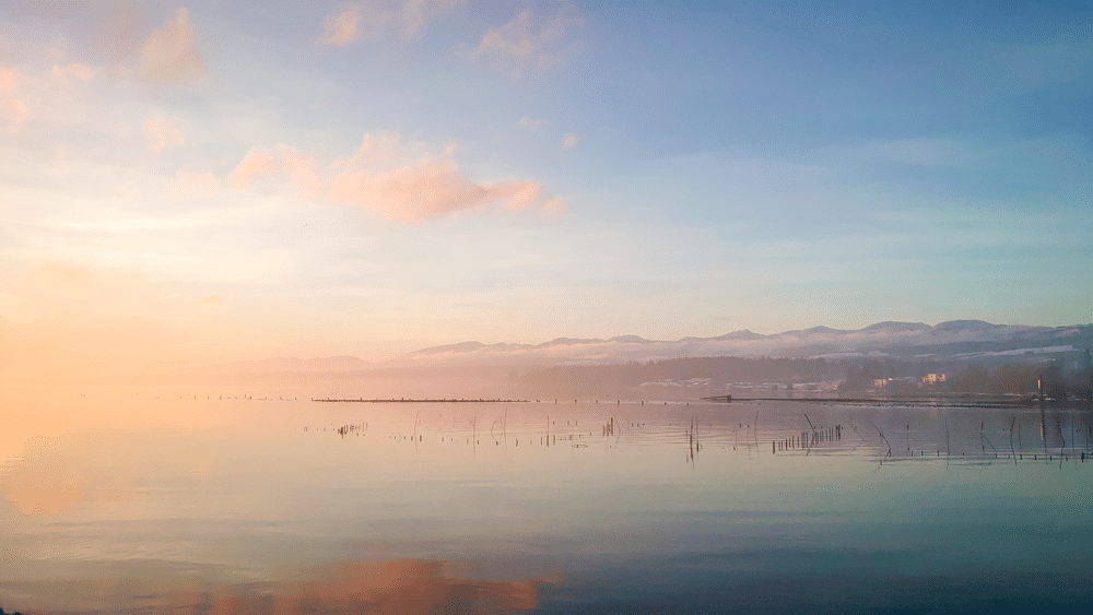 Estuary Sunrise