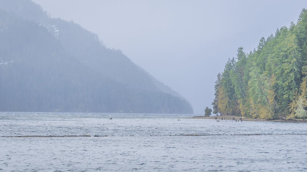 Rainy Lake